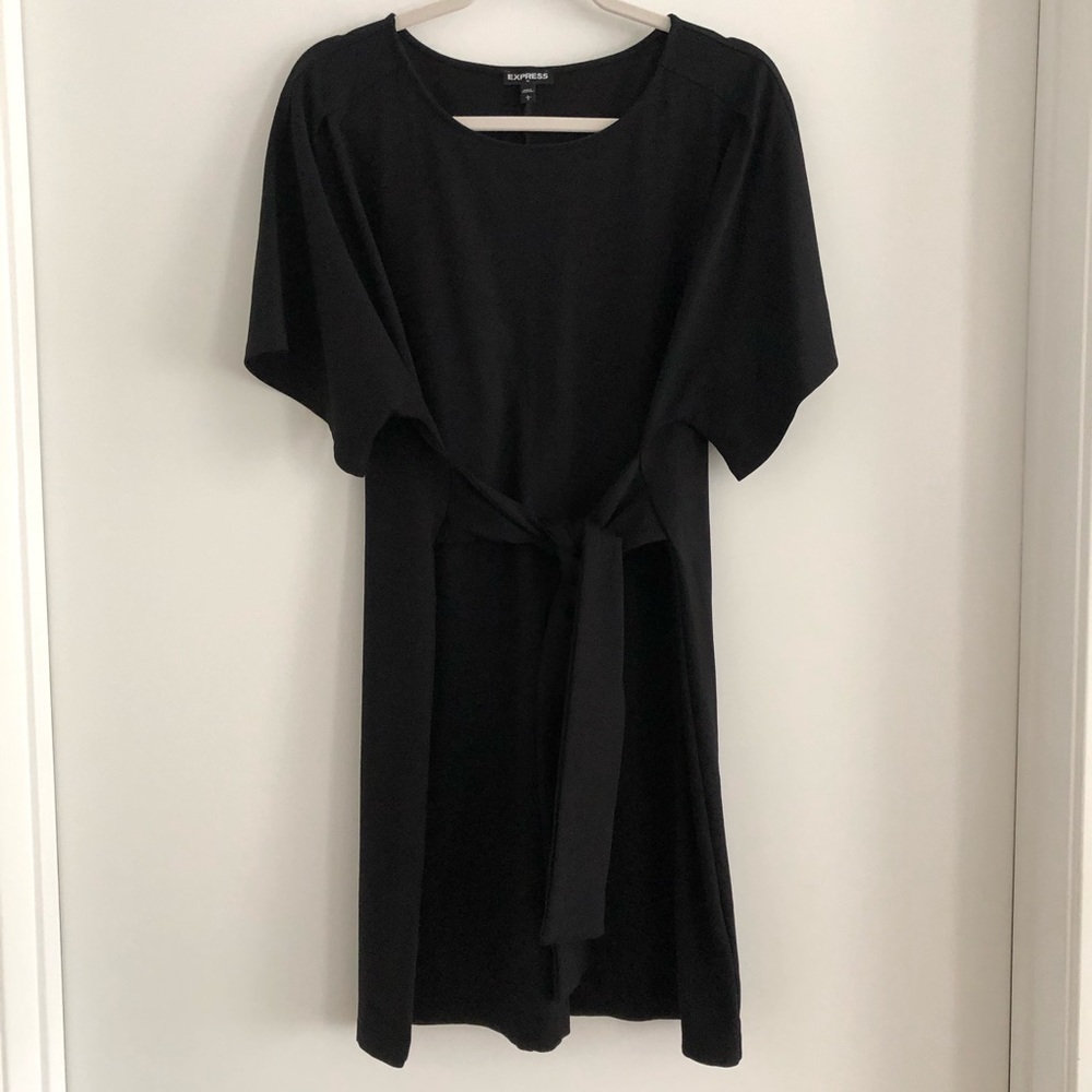 Express tie waist dress